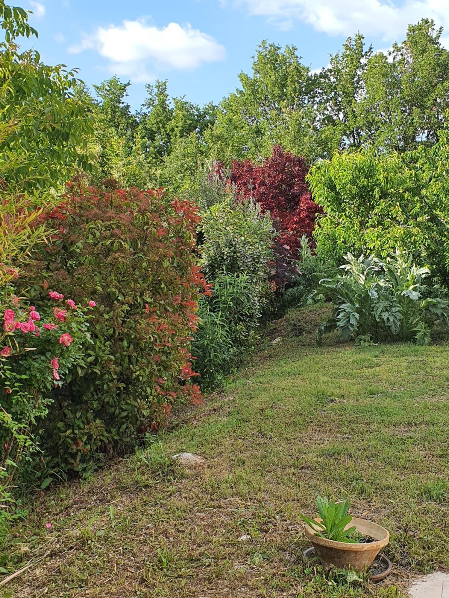 Hanna En Luberon - Le Boisset Saint-Martin-de-Castillon Exterior foto